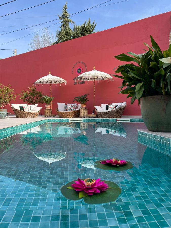 Villa El Jardin De Gala Castejon de Monegros Exterior foto